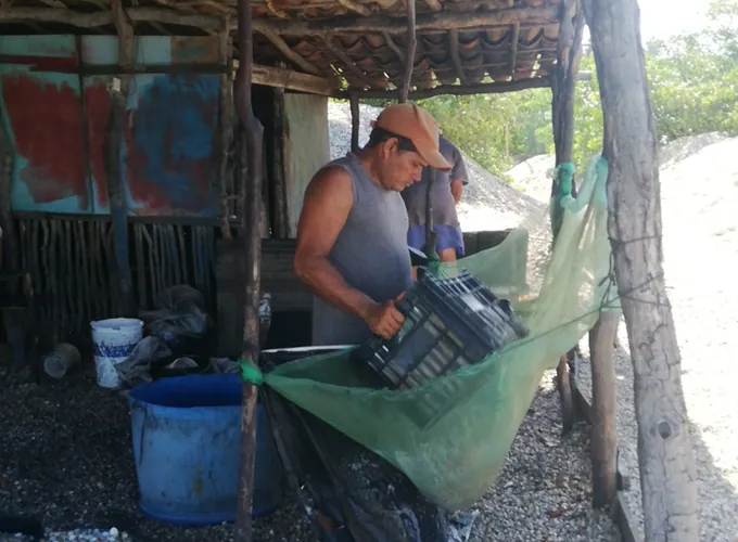 Rotina de trabalho sob a cobertura artesanal