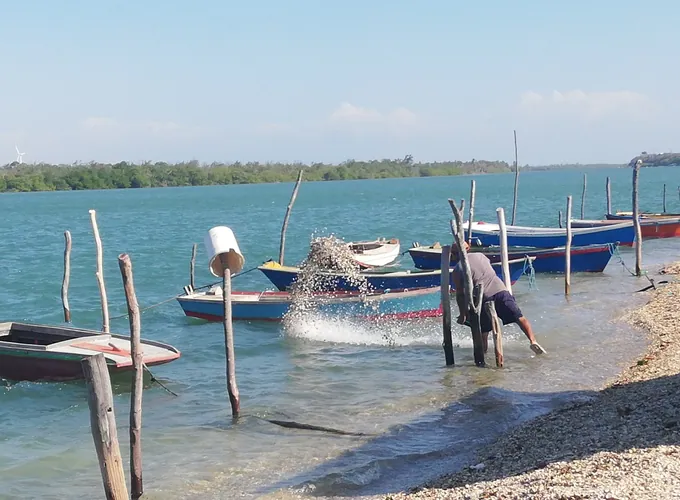 Barcos e movimentação na margem do rio