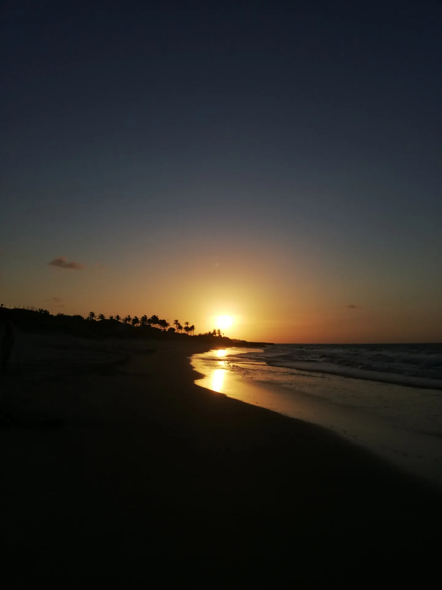 Contraluz do sol entre coqueiros, com a praia em primeiro plano